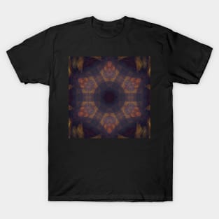 Mandalisa Kaleidoscope [textures] Pattern (Seamless) 13 T-Shirt